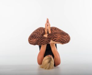 yoga equilibre